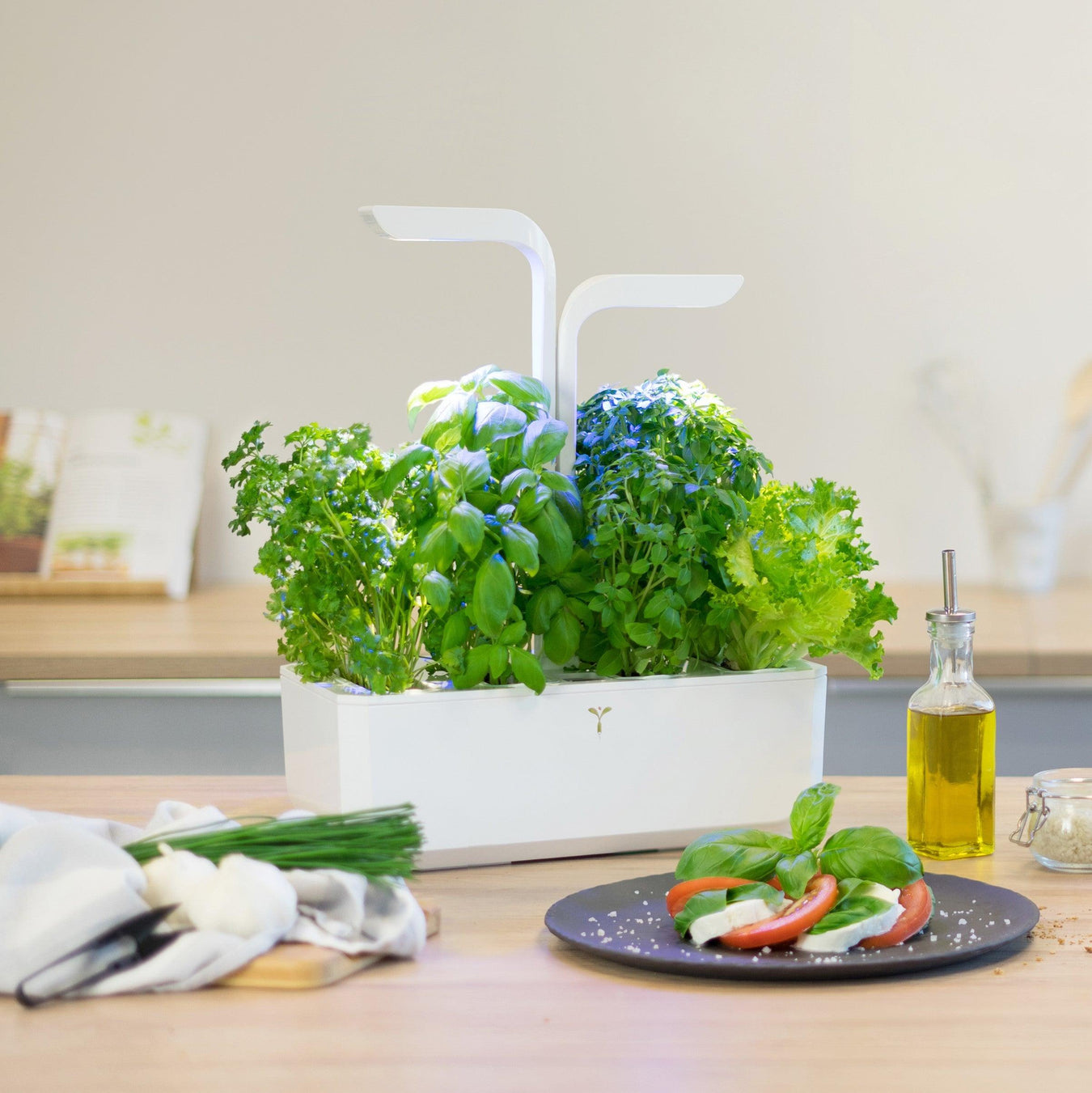 Veritable Classic - HAUSwares