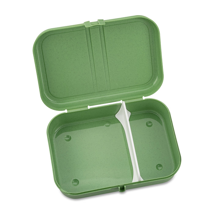 Koziol Pascal Large Lunch Box With Separator - Nature Leaf Green