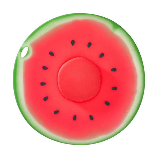 Charles Viancin Watermelon 23cm Lid Top