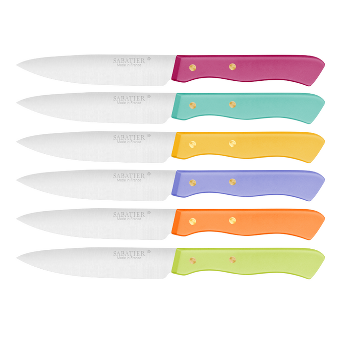 Lion Sabatier 6pc 10cm Steak Knife Set - Serie 197 Mixed Colours