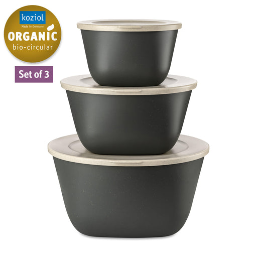 Koziol Connect Box Set Stockholm - Nature Ash Grey