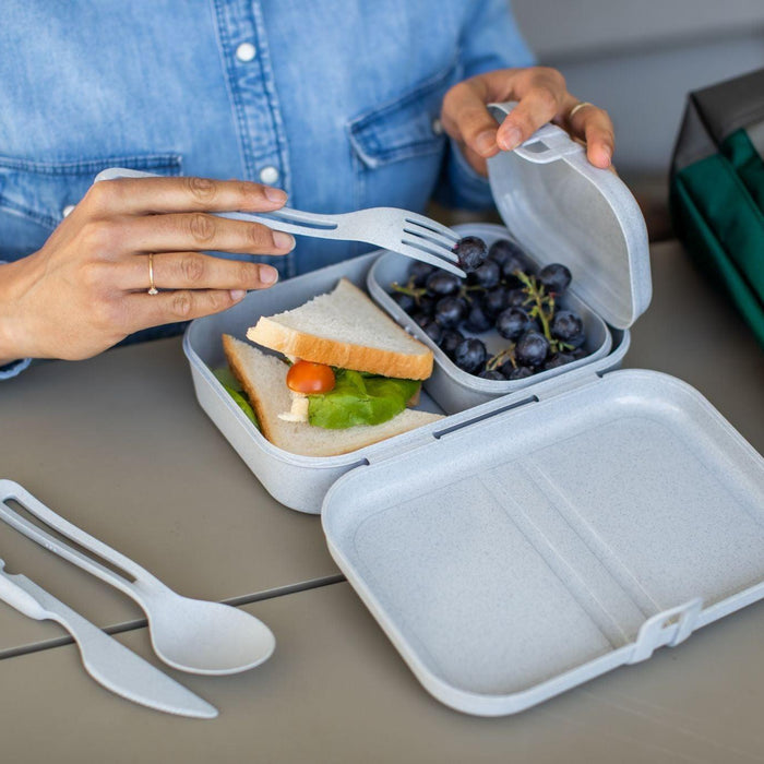 Koziol PASCAL L Lunch Box with Separator Organic Grey - HAUSwares