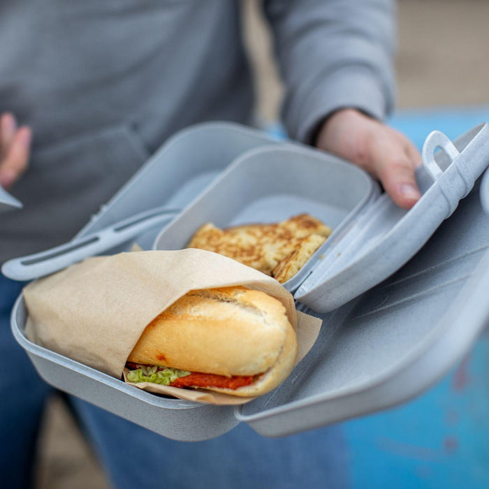 Koziol PASCAL L Lunch Box with Separator Organic Grey - HAUSwares