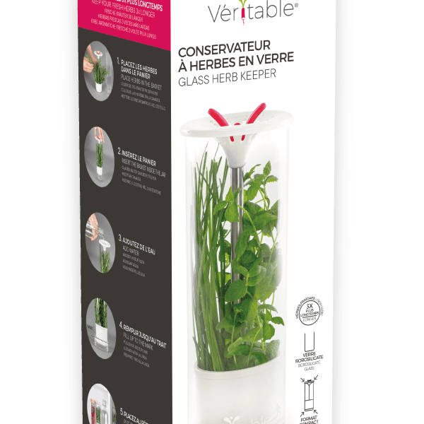 NEW Veritable Glass Herb Keeper - HAUSwares
