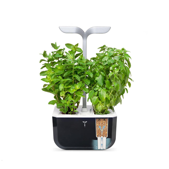 Veritable EXKY Smart - Soft Black/Silver - HAUSwares