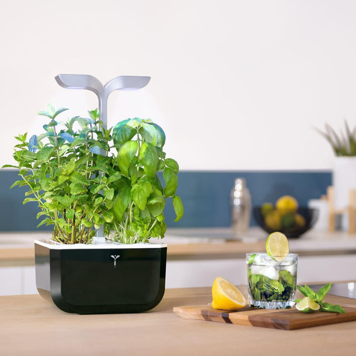 Veritable EXKY Smart - Soft Black/Silver - HAUSwares