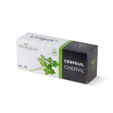 Veritable Lingot - Chervil
