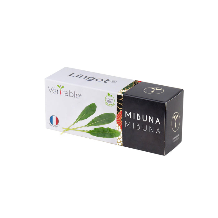 Veritable Lingot Mibuna