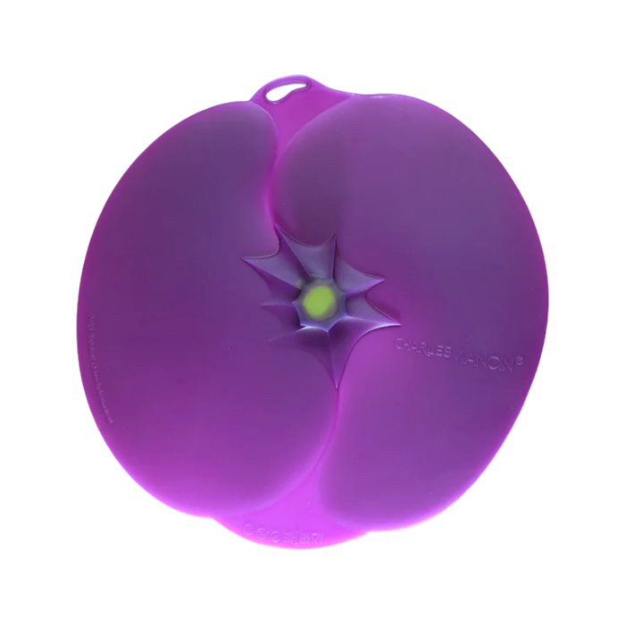 Charles Viancin Aubergine Lid 20cm