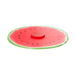 Charles Viancin Watermelon 23cm Lid