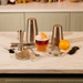 Vacu Vin Bar in a Box 14pc Cocktail Set shown in use with cocktails