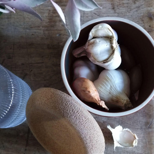 Emile Henry Garlic Pot Clay 14.6cm dia. - HAUSwares