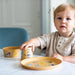Koziol Kids Connect Zoo Small Plate - HAUSwares