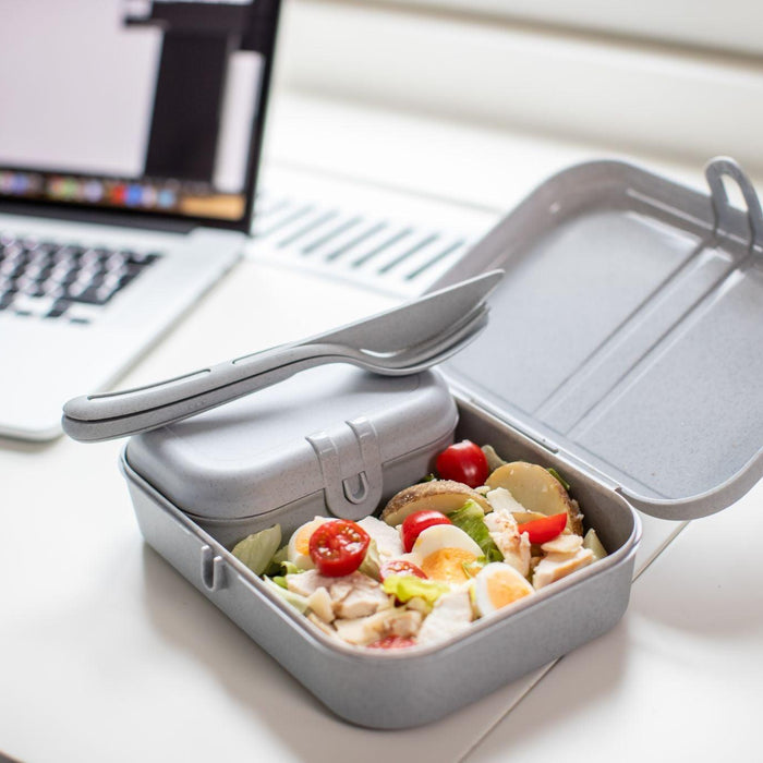 Koziol PASCAL L Lunch Box with Separator Organic Grey - HAUSwares