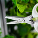 Veritable 5 Blade Herb Scissors - HAUSwares