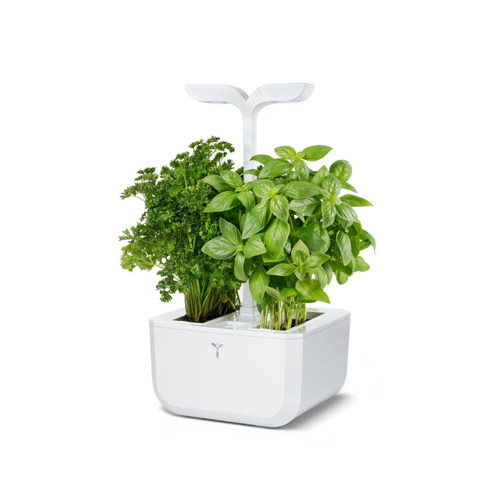 Veritable EXKY Classic - Arctic White/White - 2 Slot Indoor Garden - HAUSwares