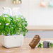 Veritable EXKY Classic - Arctic White/White - 2 Slot Indoor Garden - HAUSwares