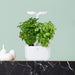 Veritable EXKY Classic - Arctic White/White - 2 Slot Indoor Garden - HAUSwares