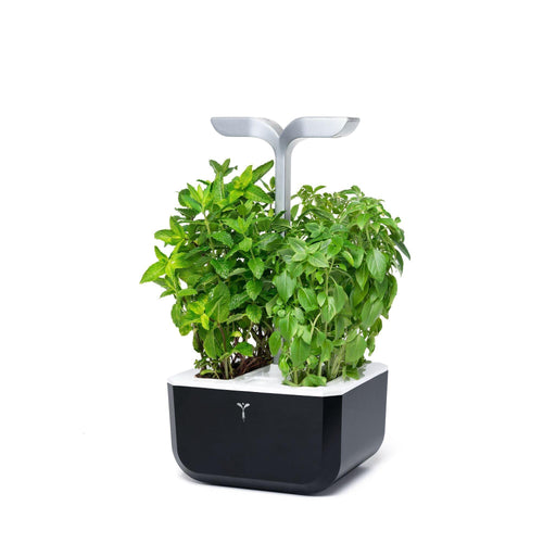 Veritable EXKY Smart - Soft Black/Silver - HAUSwares