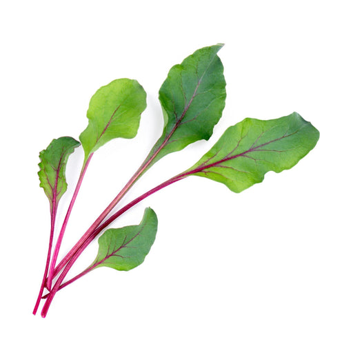 Veritable Lingot Beet Greens - HAUSwares
