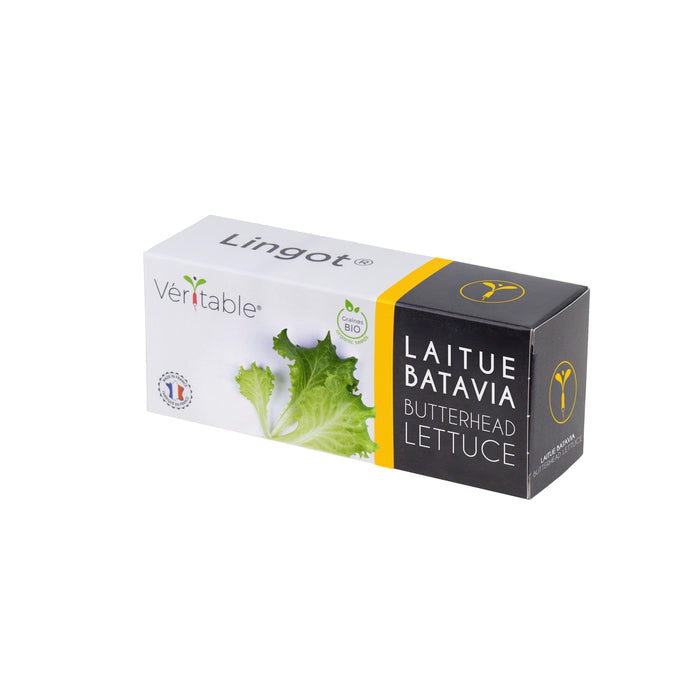 Veritable Lingot Butterhead Lettuce