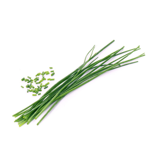 Veritable Lingot Chives - HAUSwares