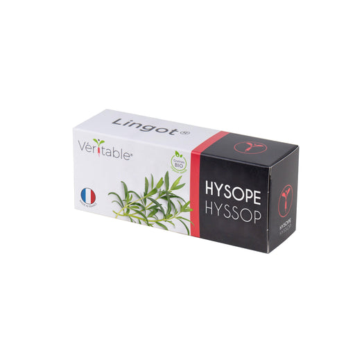 Veritable Lingot Hyssop