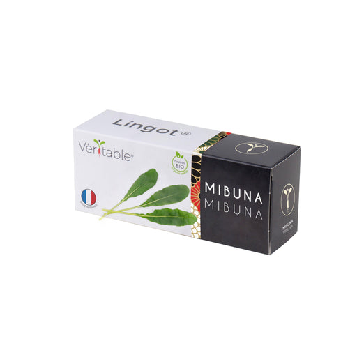 Veritable Lingot Mibuna