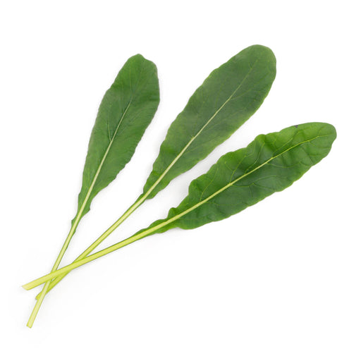 Veritable Lingot Mibuna - HAUSwares