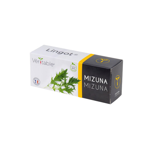 Veritable Lingot Mizuna
