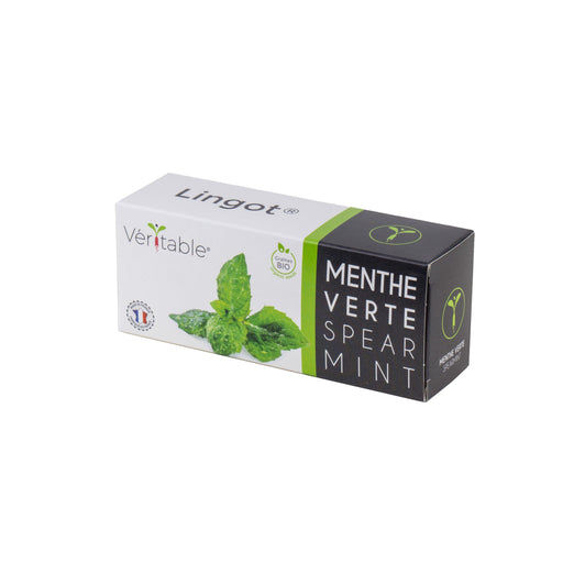 Veritable Lingot Spearmint