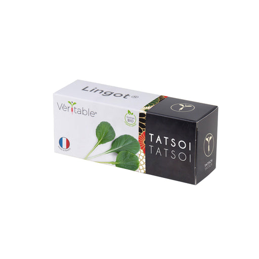 Veritable Lingot Tatsoi