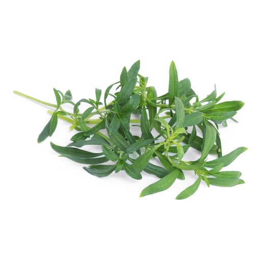 Veritable Lingot Wild Savoury - HAUSwares