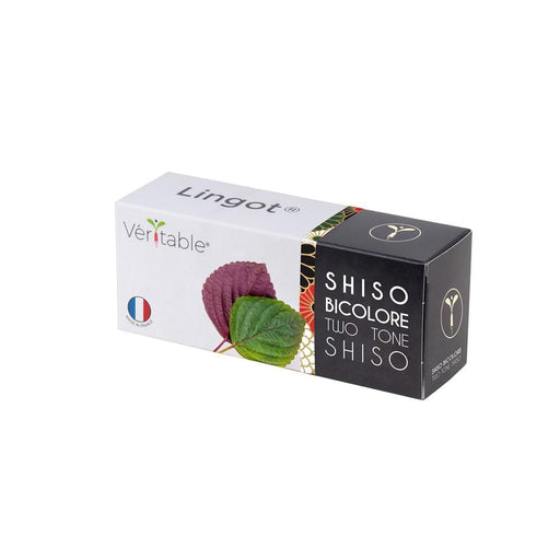 NEW Veritable Lingot - Two Tone Shiso