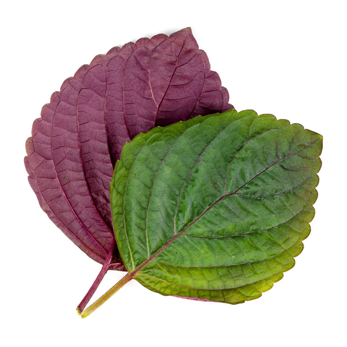 NEW Veritable Lingot - Two Tone Shiso